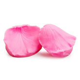 FLOWER VEINER